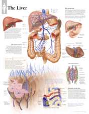 The Liver Chart: Laminated Wall Chart