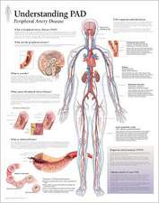 Understanding Pad Chart: Laminated Wall Chart