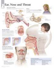 Ear, Nose & Throat Chart: Wall Chart