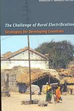 The Challenge of Rural Electrification: Strategies for Developing Countries