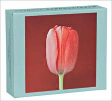 Mapplethorpe Flowers: Quicknotes -- Greeting, Thank You & Invitation Cards in a Reuseable Flip-Top Box Decorated with Modern Illustrations