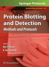 Protein Blotting and Detection