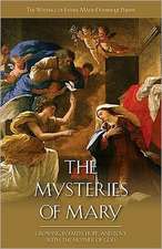 The Mysteries of Mary