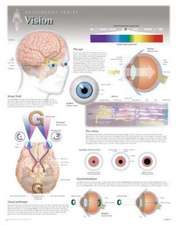 Vision Wall Chart: 8220