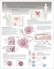 Human Reproduction Wall Chart: 8500