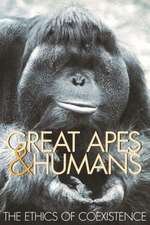 Great Apes & Humans