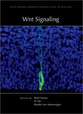 Wnt Signaling