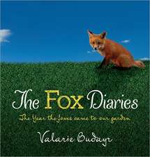 The Fox Diaries: The Year the Foxes Came to Our Garden