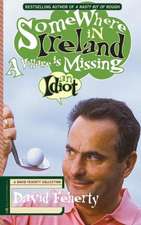 Somewhere in Ireland, a Village Is Missing an Idiot: A David Feherty Collection