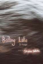 Boiling Lake (on Voyage): Short Stories