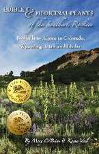 Edible & Medicinal Plants of the Southern Rockies