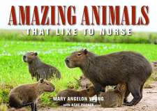 Amazing Animals