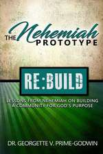 The Nehemiah Prototype