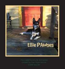 Ellie Pawses: The Quest Continues