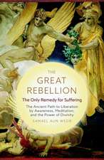 The Great Rebellion: The Only Remedy for Suffering: The Ancient Path to Liberation by Awareness, Meditation, and the Power of Divinity