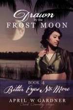 Bitter Eyes No More: a Christian Historical Romance with Native American themes