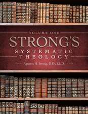 Systematic Theology: Volume 1: The Doctrine of God