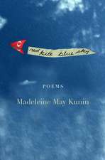 Red Kite, Blue Sky: Poems