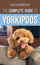 The Complete Guide to Yorkipoos