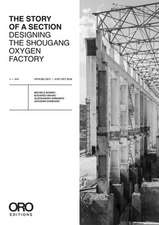 DESIGNING SHOUGANG OR THE STORY OF A