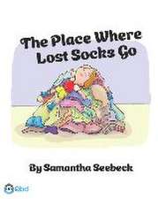 Seebeck, S: PLACE WHERE LOST SOCKS GO