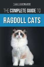 The Complete Guide to Ragdoll Cats