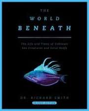 The World Beneath