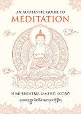 An Authentic Guide to Meditation