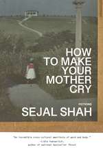 How to Make Your Mother Cry: Fictions