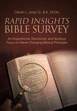 Rapid Insights Bible Survey