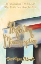 Perfection Misconception