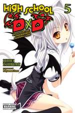 High School DXD, Vol. 5 (Light Novel)