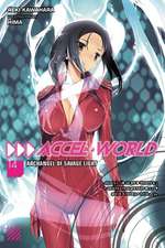 Accel World, Vol. 14 (light novel)