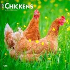 Chickens 2025 12 X 24 Inch Monthly Square Wall Calendar Plastic-Free