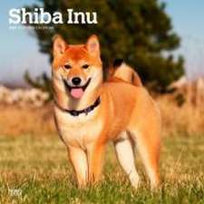 Shiba Inu 2025 12 X 24 Inch Monthly Square Wall Calendar Plastic-Free