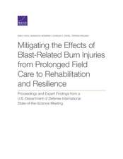 Mitigating the Effects of Blast-Related Burn Injuries from Prolonged Field Care to Rehabilitation and Resilience