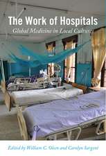 The Work of Hospitals: Global Medicine in Local Cultures