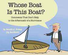 Whose Boat Is This Boat?: Comments That Don't Help in the Aftermath of a Hurricane