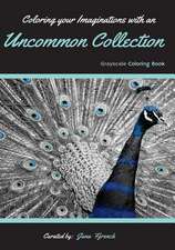 Coloring Your Imaginations with Uncommon Collection