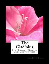 The Gladiolus