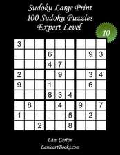 Sudoku Large Print - Expert Level - N10