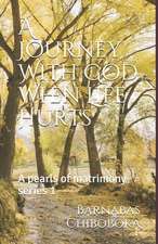 A Journey with God When Life Hurts