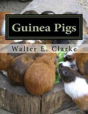 Guinea Pigs