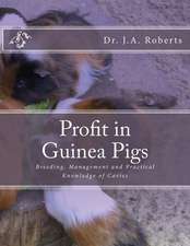 Profit in Guinea Pigs