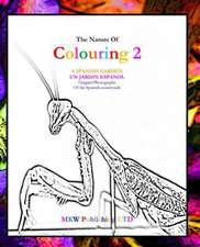 The Nature of Colouring 2