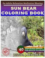 Sun Bear Coloring Book for Adults Relaxation Meditation Blessing