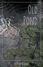 Old Pond