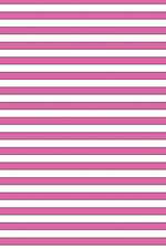 Lizzie Timewarp Notebook (pink and white striped)