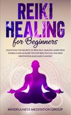 Reiki Healing for Beginners