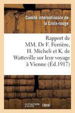 Documents Publies A L'Occasion de La Guerre 1914-1917. 16e Serie, Rapport de MM. Dr F. Ferriere